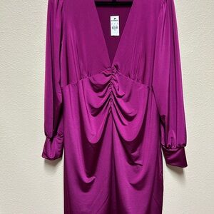 Express Fuchsia Long Sleeve Dress